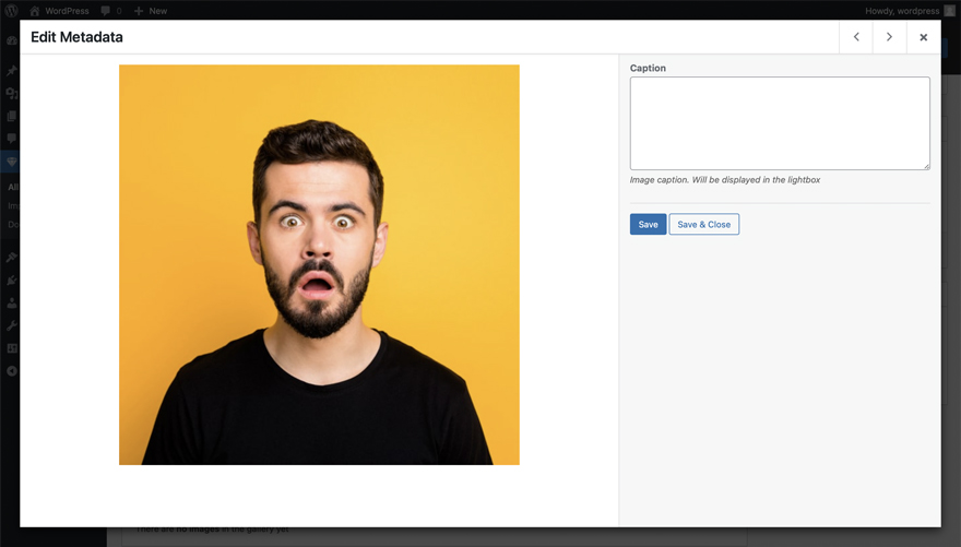 Diamond Gallery - WordPress image carousel with lightbox gallery images metabox popup