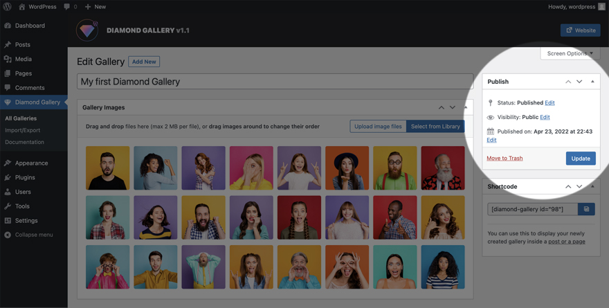 Diamond Gallery - WordPress image carousel with lightbox save update